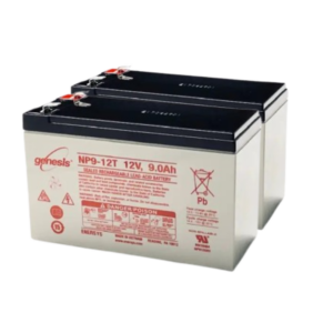 Genesis NP9-12 Batterie Onduleur 9E1000I